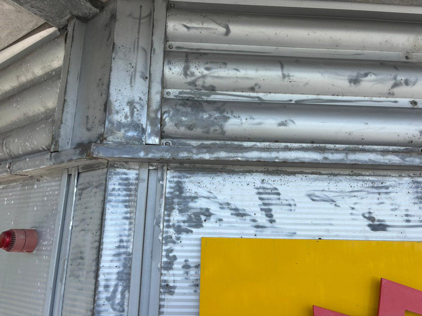 Cladding Coatings
