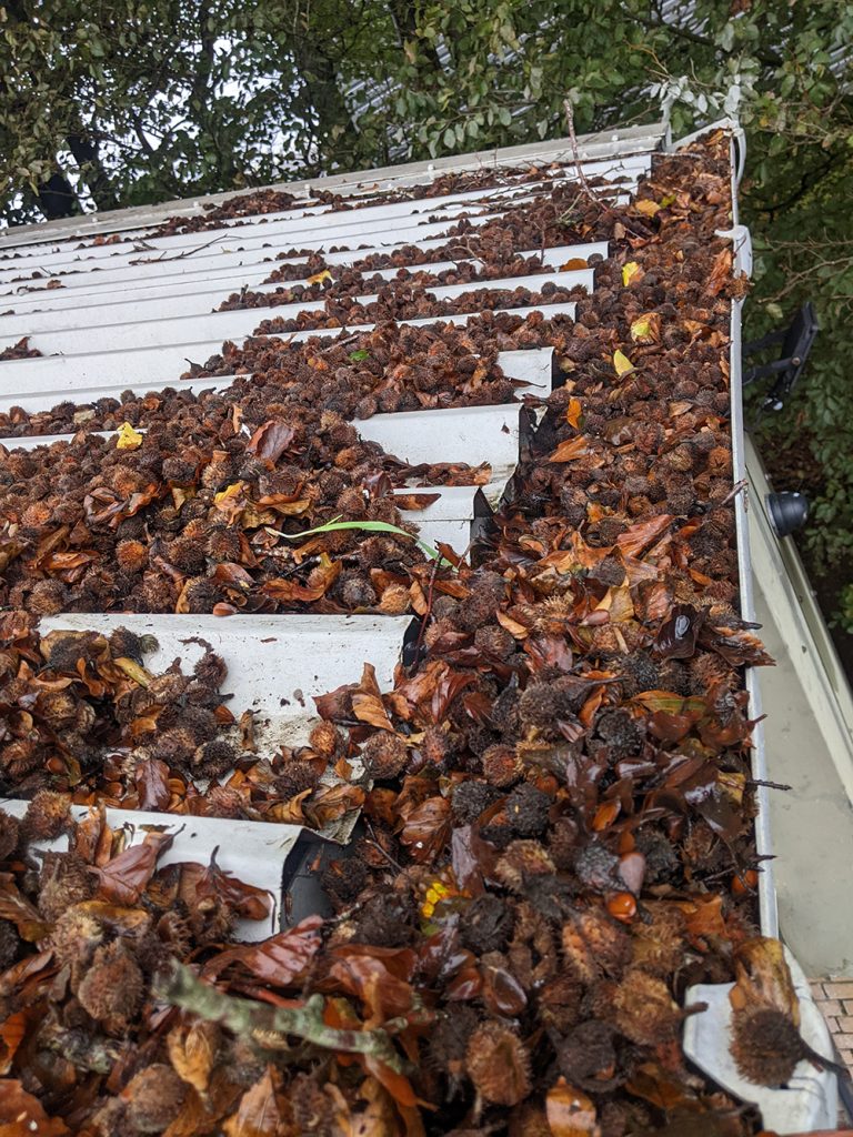 Cladding Coatings